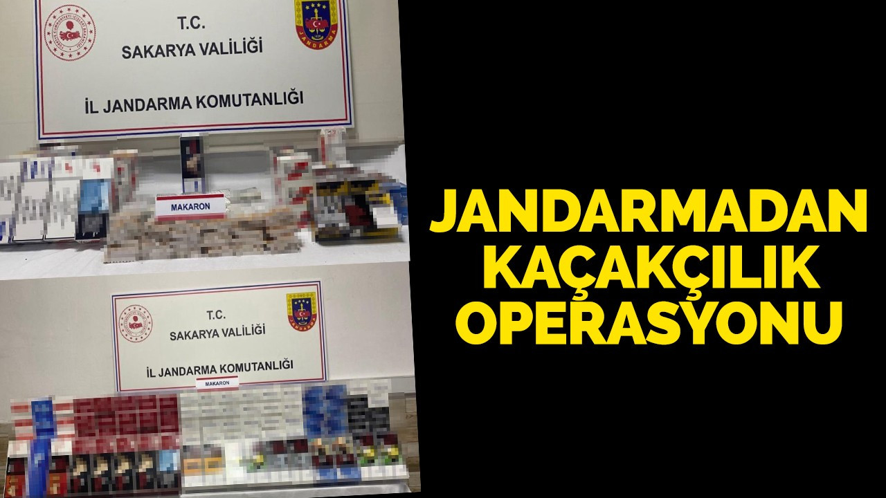 Jandarmadan kaçakçılık operasyonu: 2 gözaltı