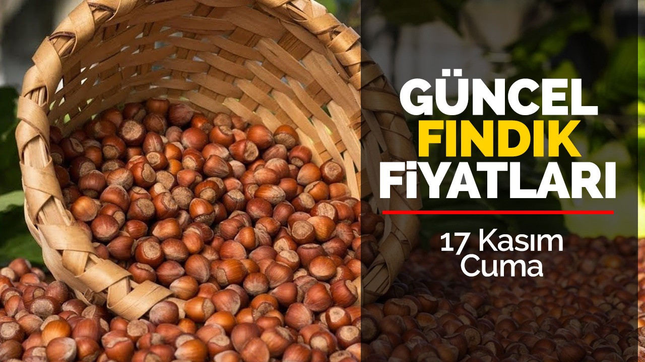 17 Kasım Cuma Güncel Fındık Fiyatları