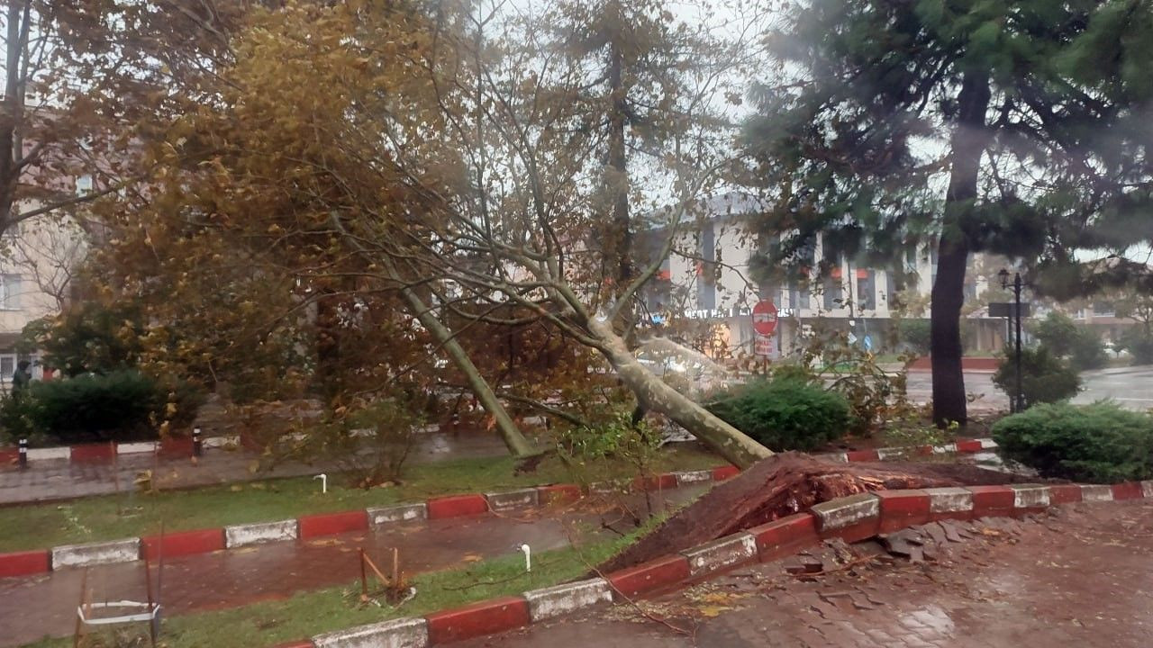 Şiddetli rüzgar ve fırtınadan dolayı ağaçlar söküldü, direkler devrildi, çatılar uçtu - Sayfa 7