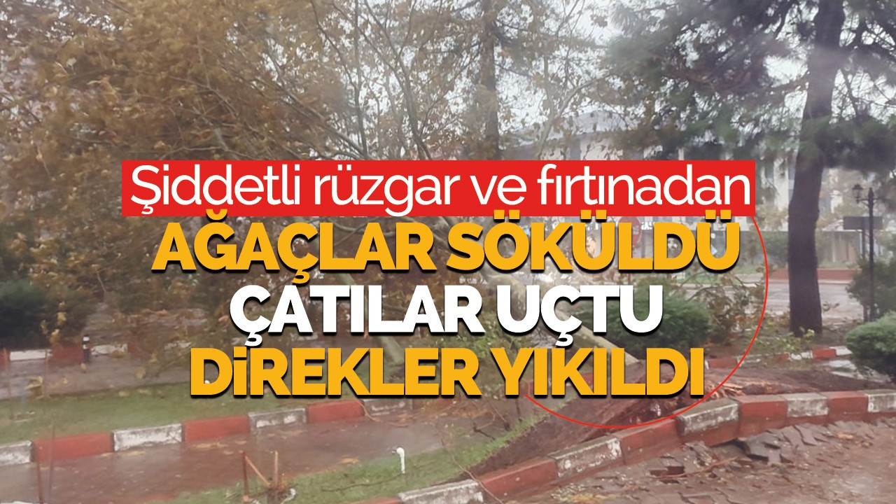 Şiddetli rüzgar ve fırtınadan dolayı ağaçlar söküldü, direkler devrildi, çatılar uçtu