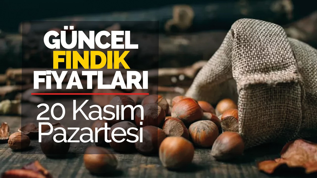 20 Kasım Pazartesi Güncel Fındık Fiyatları