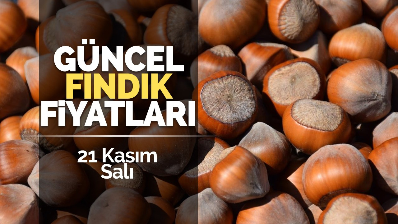 21 Kasım Salı Güncel Fındık Fiyatları