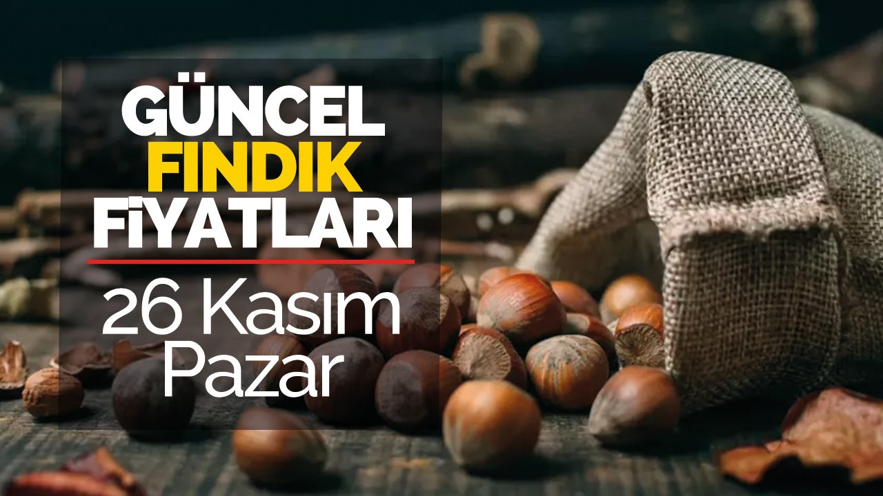 26 Kasım Pazar Güncel Fındık Fiyatları