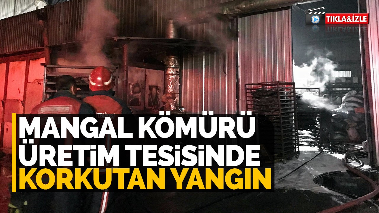 Mangal kömürü üretim tesisinde korkutan yangın