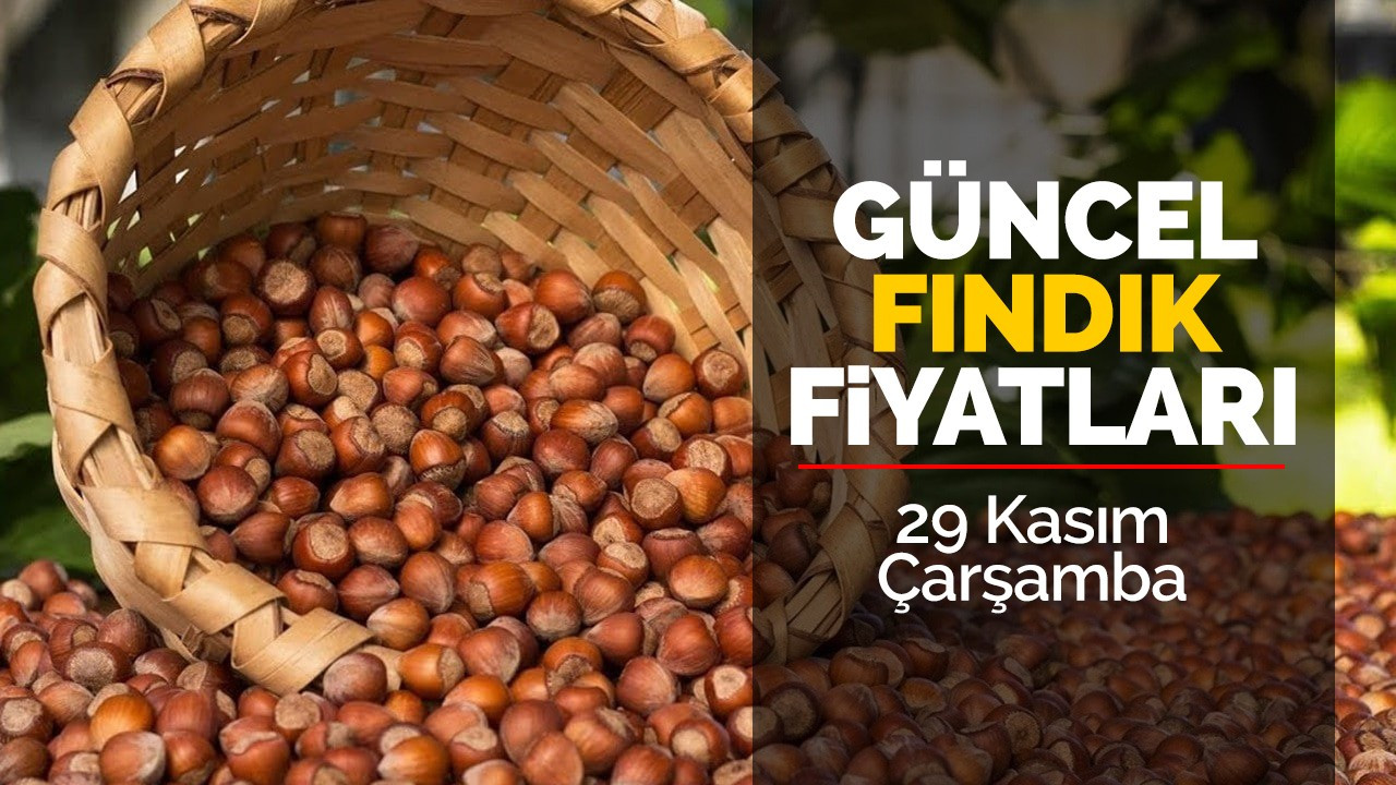 29 Kasım Çarşamba Güncel Fındık Fiyatları