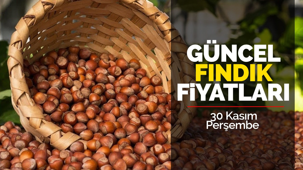 30 Kasım Perşembe Güncel Fındık Fiyatları