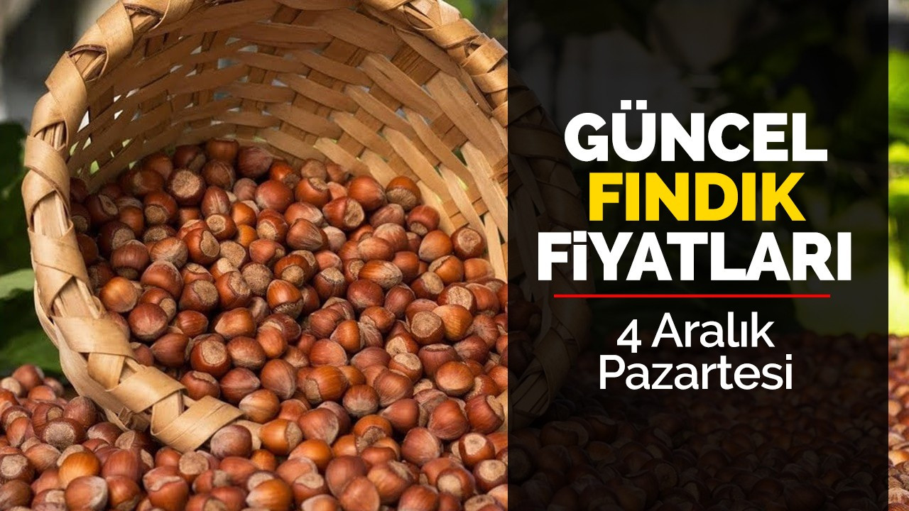 4 Aralık Pazartesi Güncel Fındık Fiyatları