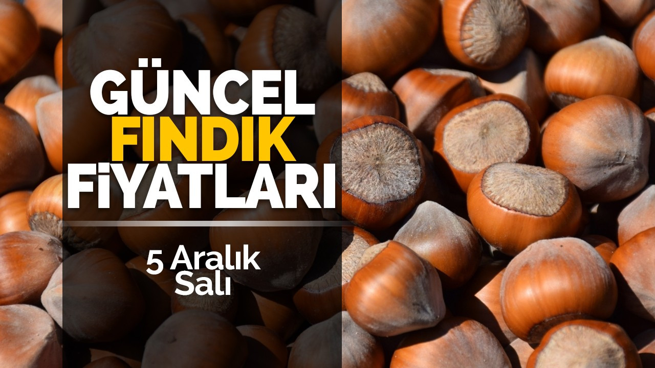 5 Aralık Salı Güncel Fındık Fiyatları