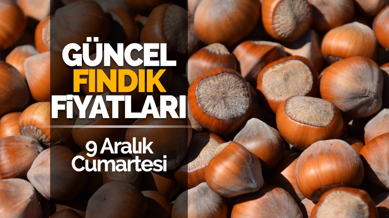 9 Aralık Cumartesi Güncel Fındık Fiyatları