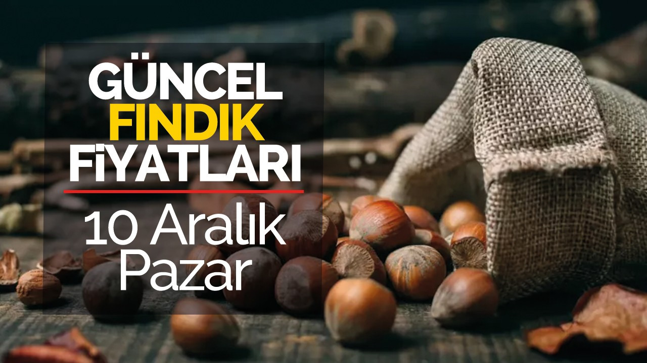 10 Aralık Pazar Güncel Fındık Fiyatları