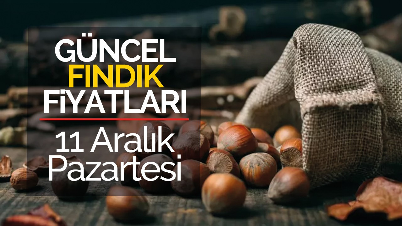 11 Aralık Pazartesi Güncel Fındık Fiyatları