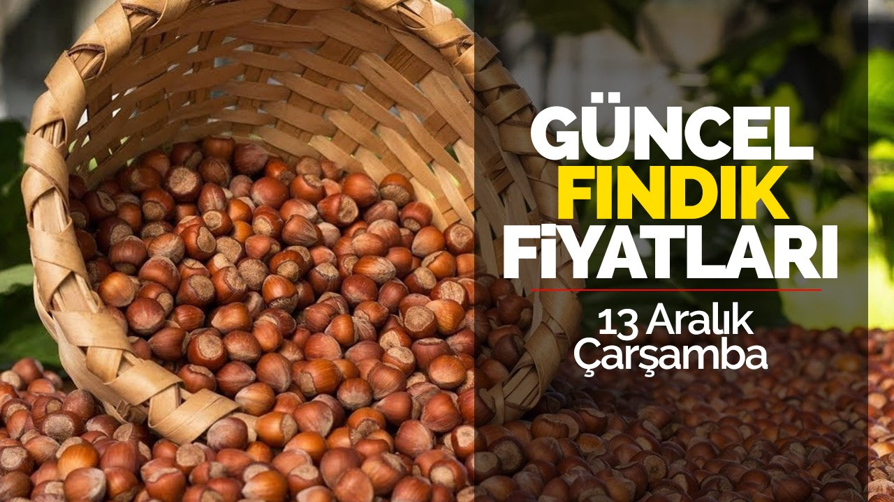 13 Aralık Çarşamba Güncel Fındık Fiyatları