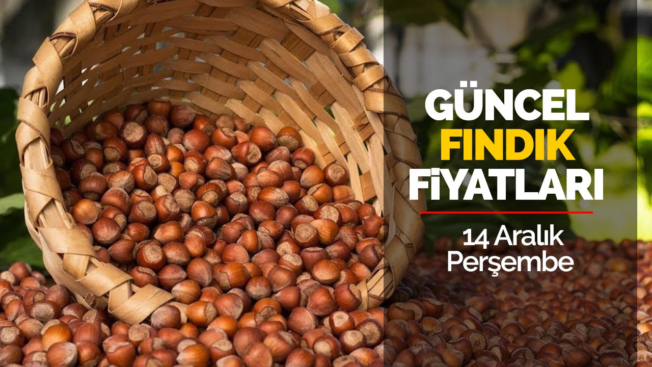 14 Aralık Perşembe Güncel Fındık Fiyatları