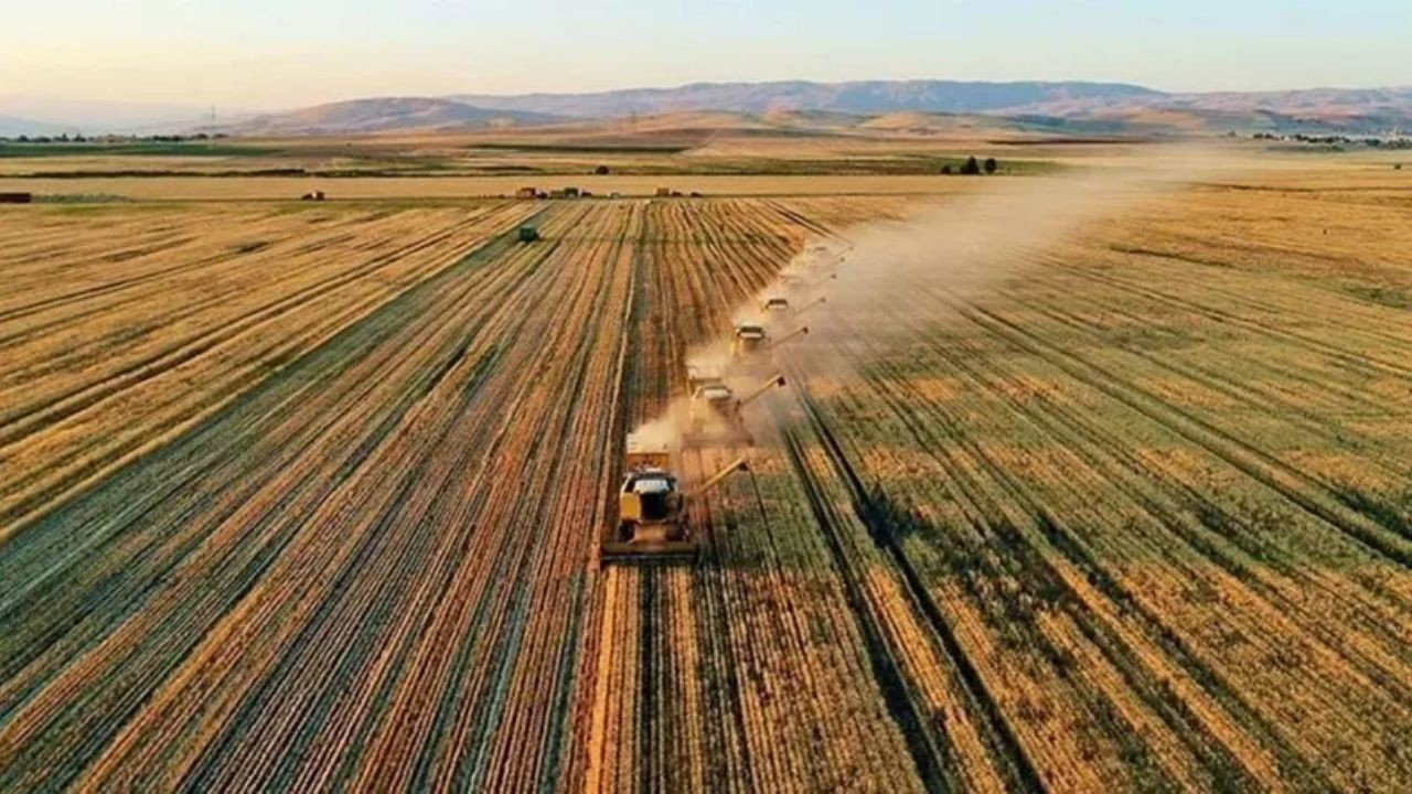 Tarımsal destekleme ödemeleri bugün aktarılıyor