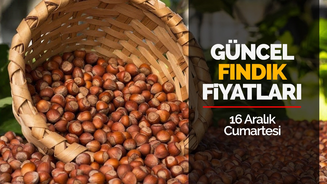 16 Aralık Cumartesi Güncel Fındık Fiyatları