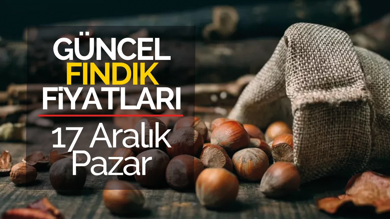 17 Aralık Pazar Güncel Fındık Fiyatları