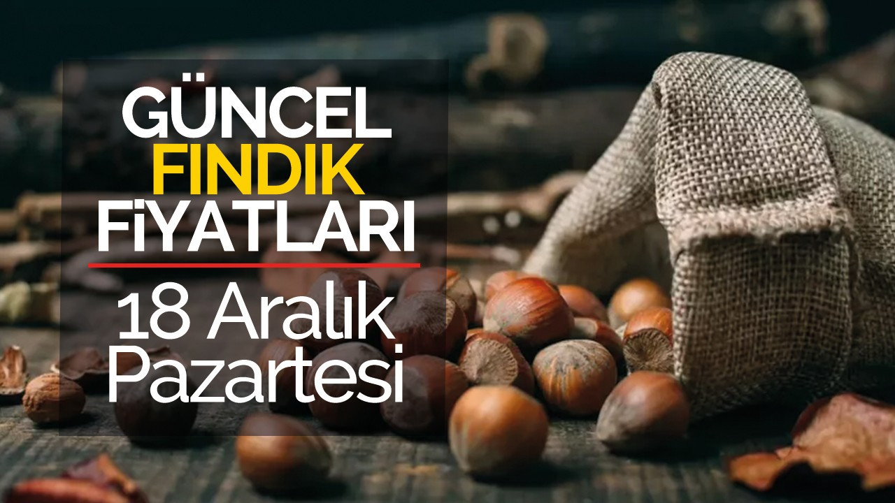 18 Aralık Pazartesi Güncel Fındık Fiyatları