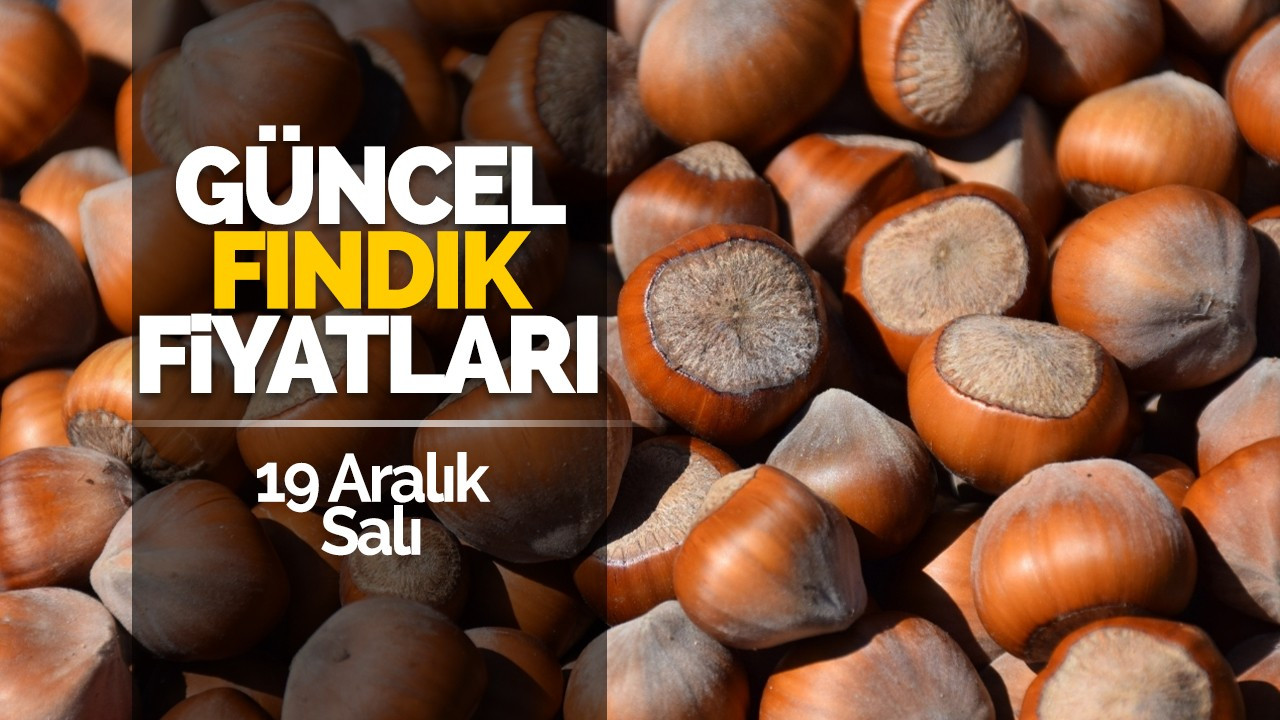 19 Aralık Salı Güncel Fındık Fiyatları