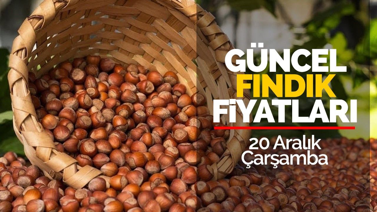 20 Aralık Çarşamba Güncel Fındık Fiyatları