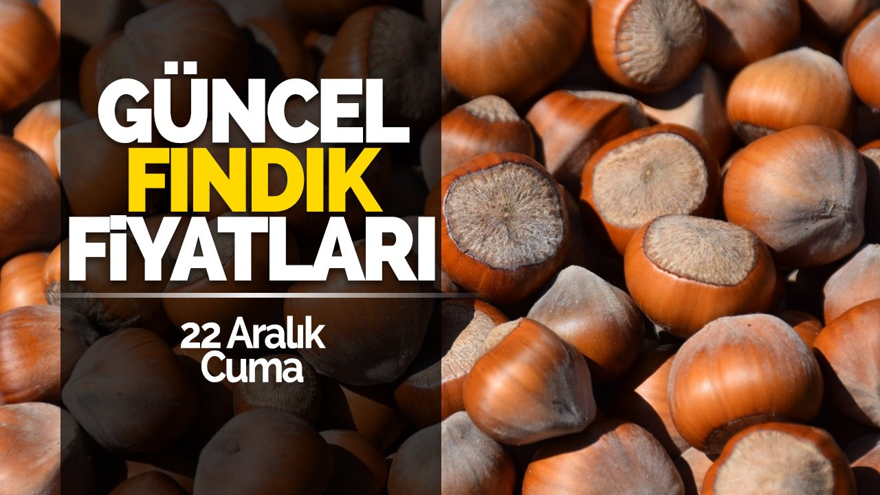 22 Aralık Cuma Güncel Fındık Fiyatları