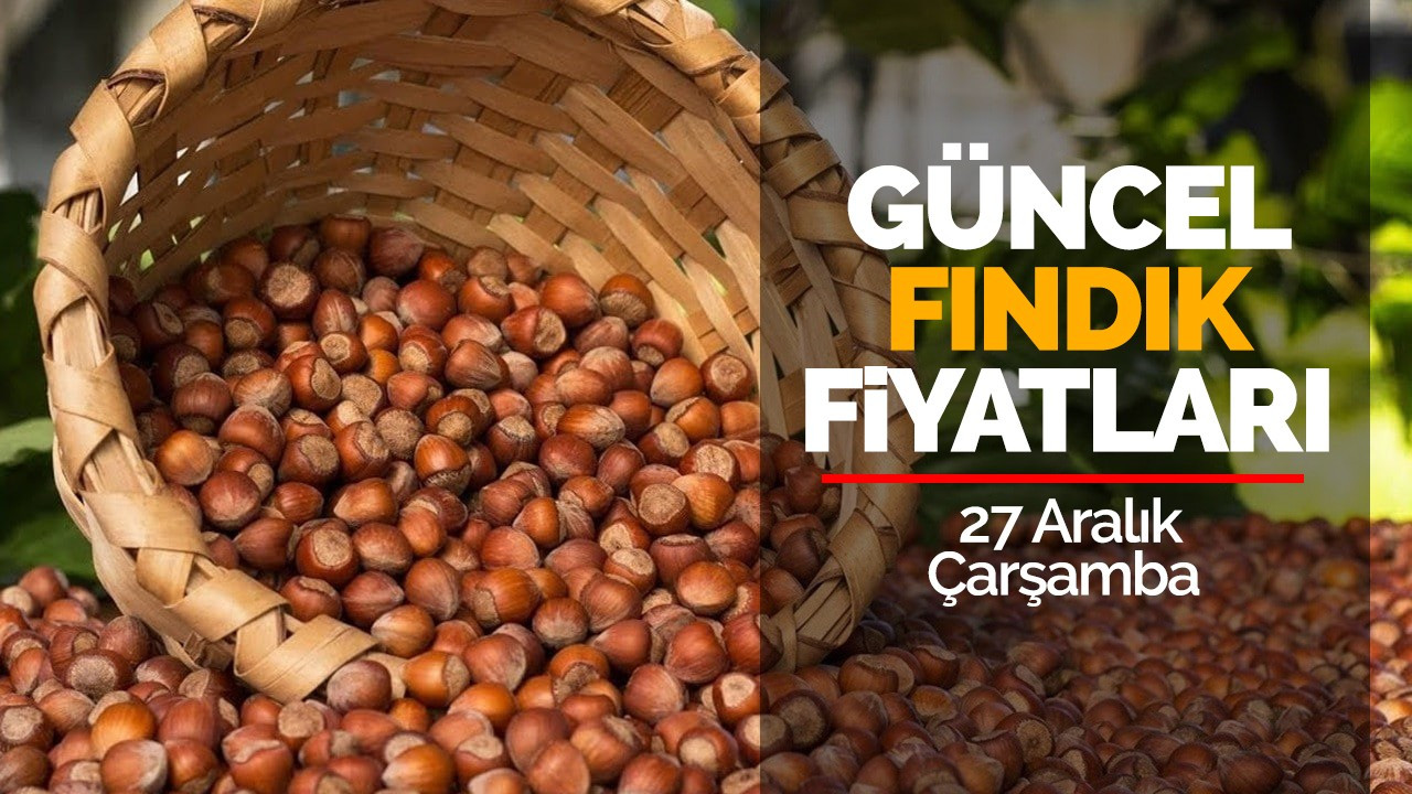 27 Aralık Çarşamba Güncel Fındık Fiyatları