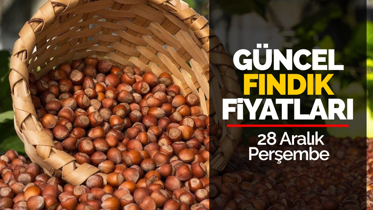 28 Aralık Perşembe Güncel Fındık Fiyatları