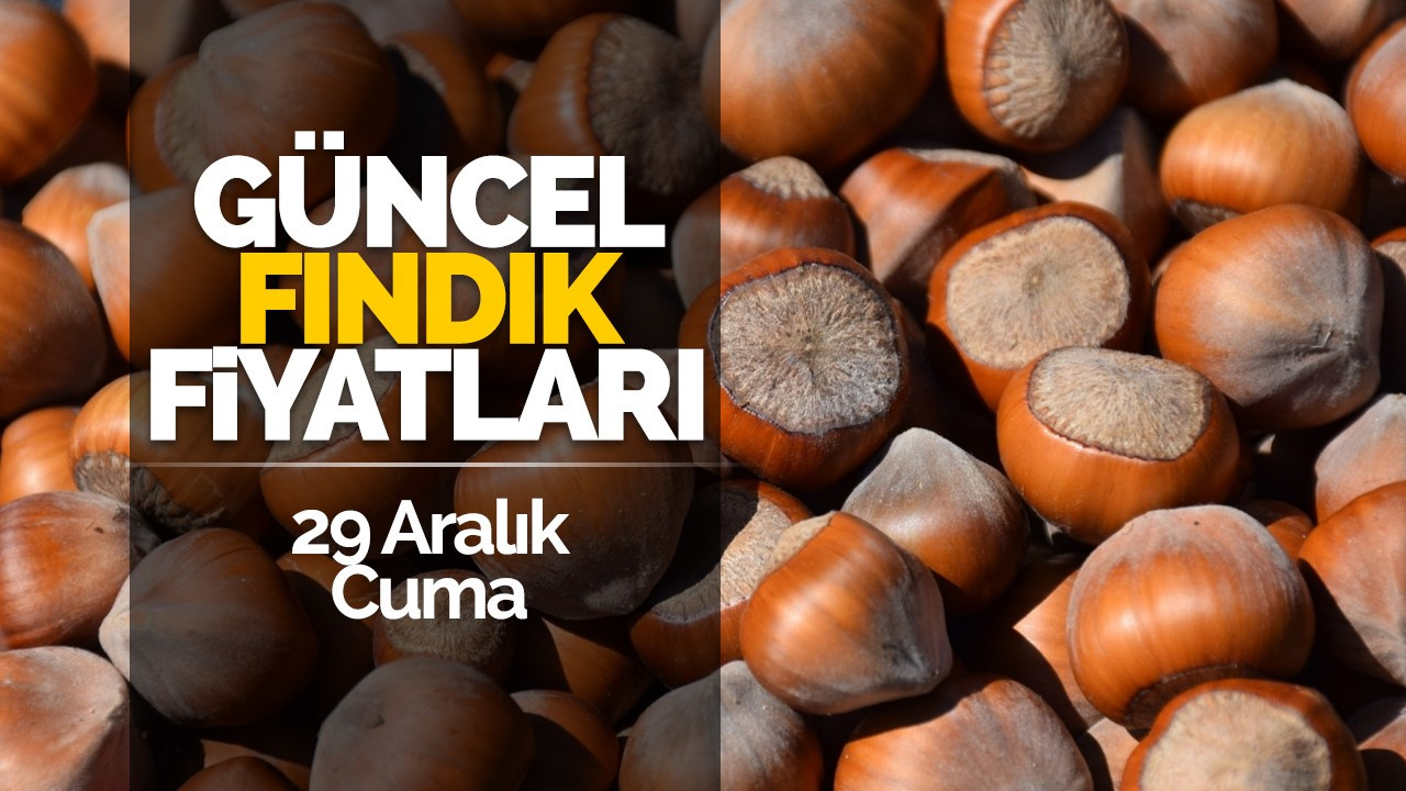 29 Aralık Cuma Güncel Fındık Fiyatları