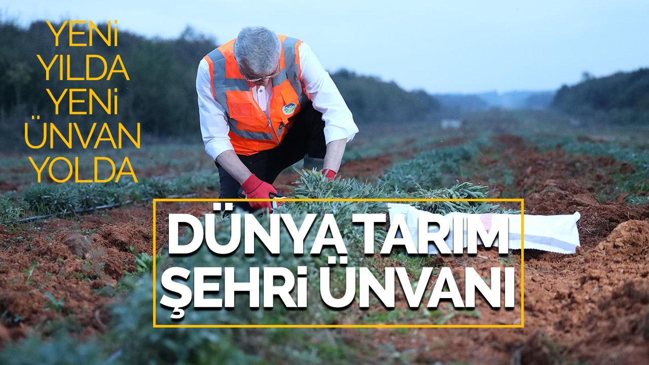 Yeni yılda yeni ünvan yolda, Dünya Tarım Şehri ünvanı