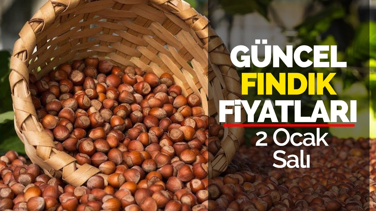 2 Ocak Salı Güncel Fındık Fiyatları