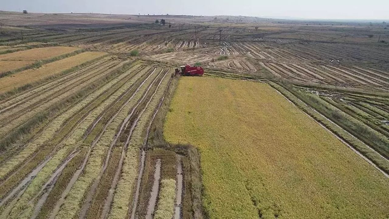 TARSİM'den çiftçilere geçen yıl 17,2 milyar