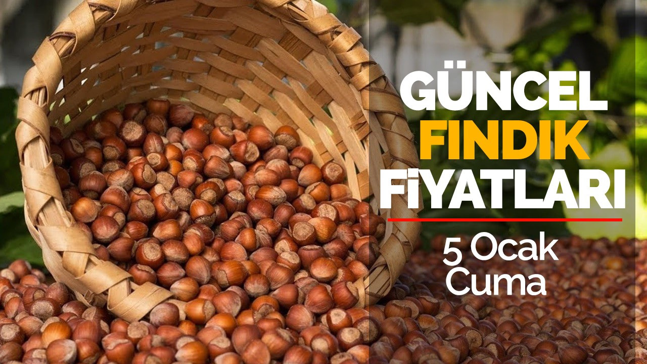 5 Ocak Cuma Güncel Fındık Fiyatları