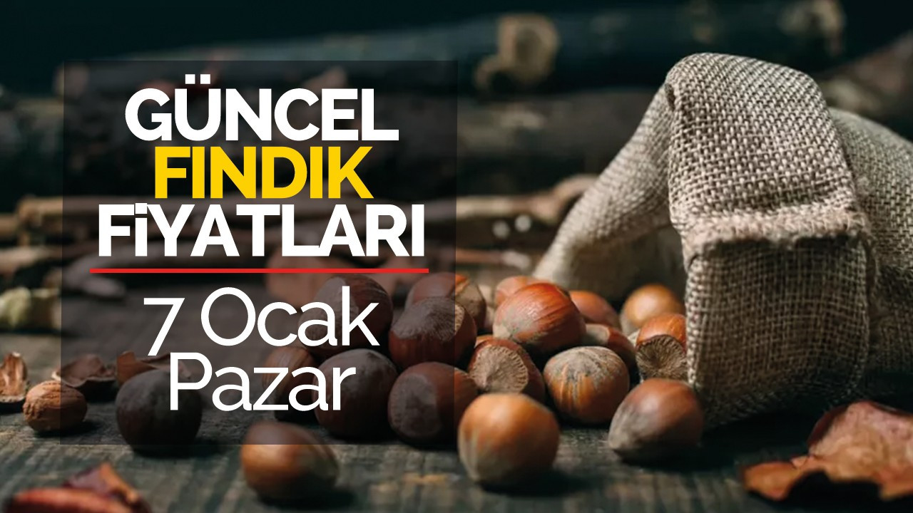 7 Ocak Pazar Güncel Fındık Fiyatları