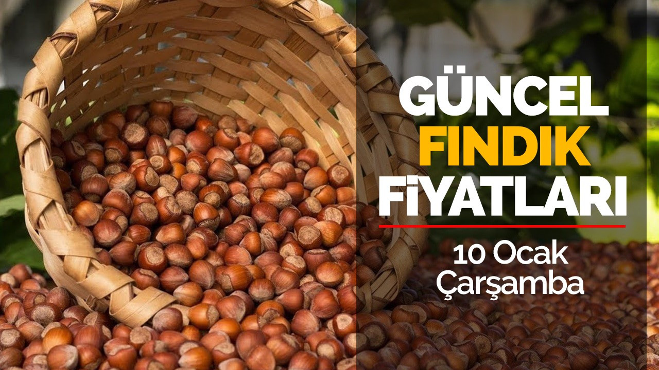 10 Ocak Çarşamba Güncel Fındık Fiyatları