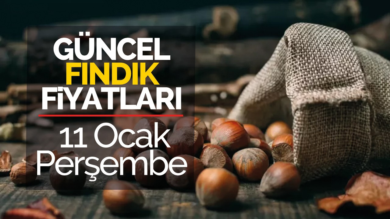 11 Ocak Perşembe Güncel Fındık Fiyatları