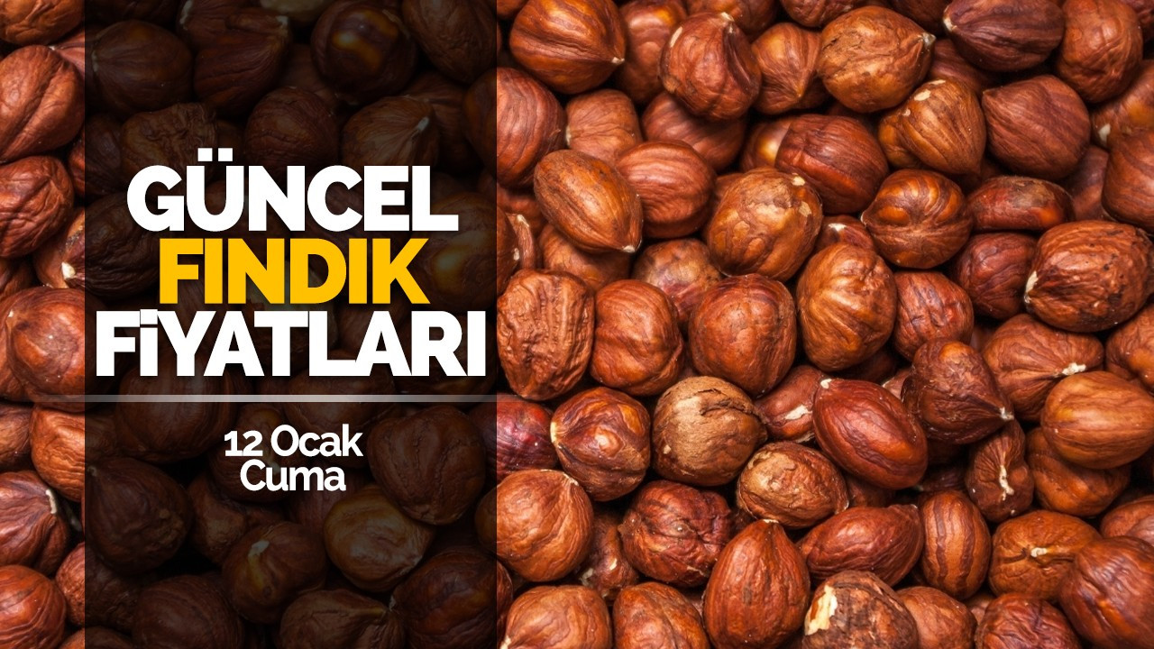 12 Ocak Cuma Güncel Fındık Fiyatları