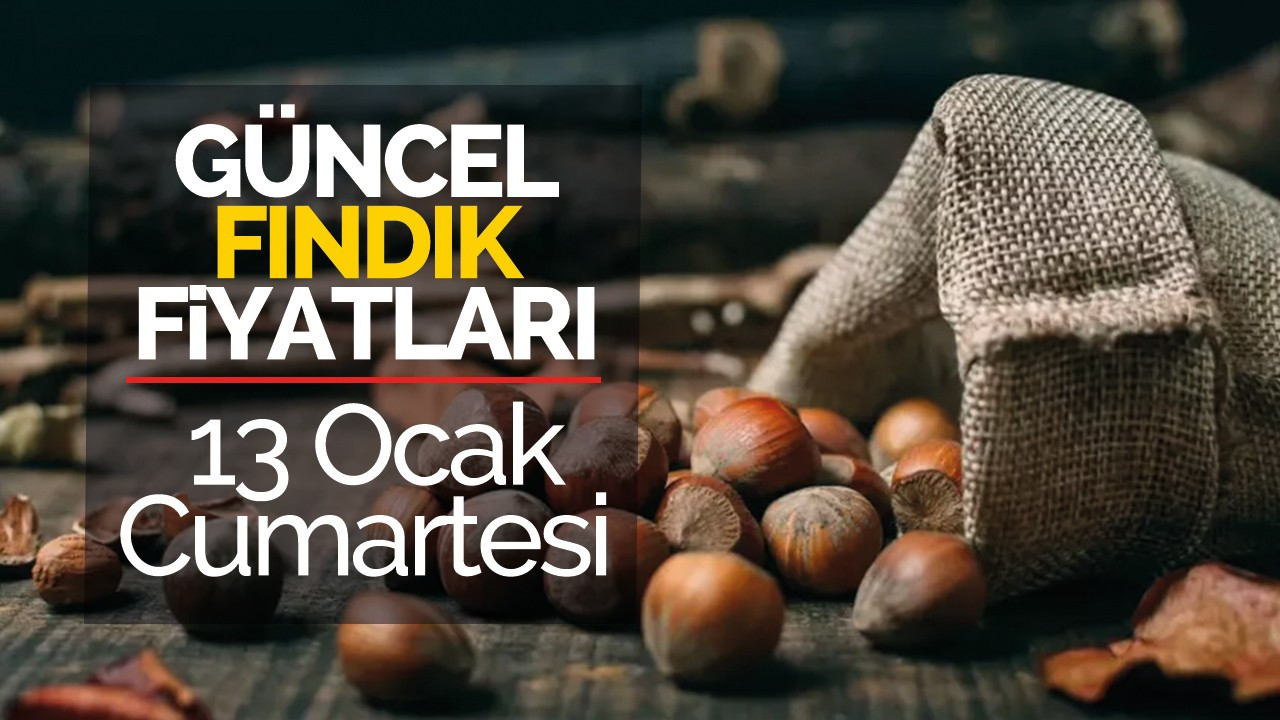 13 Ocak Cumartesi Güncel Fındık Fiyatları