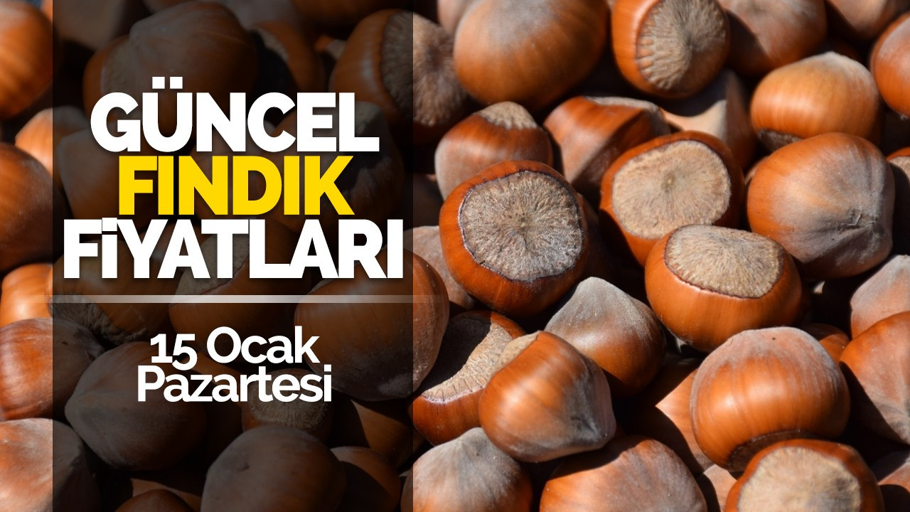 15 Ocak Pazartesi Güncel Fındık Fiyatları