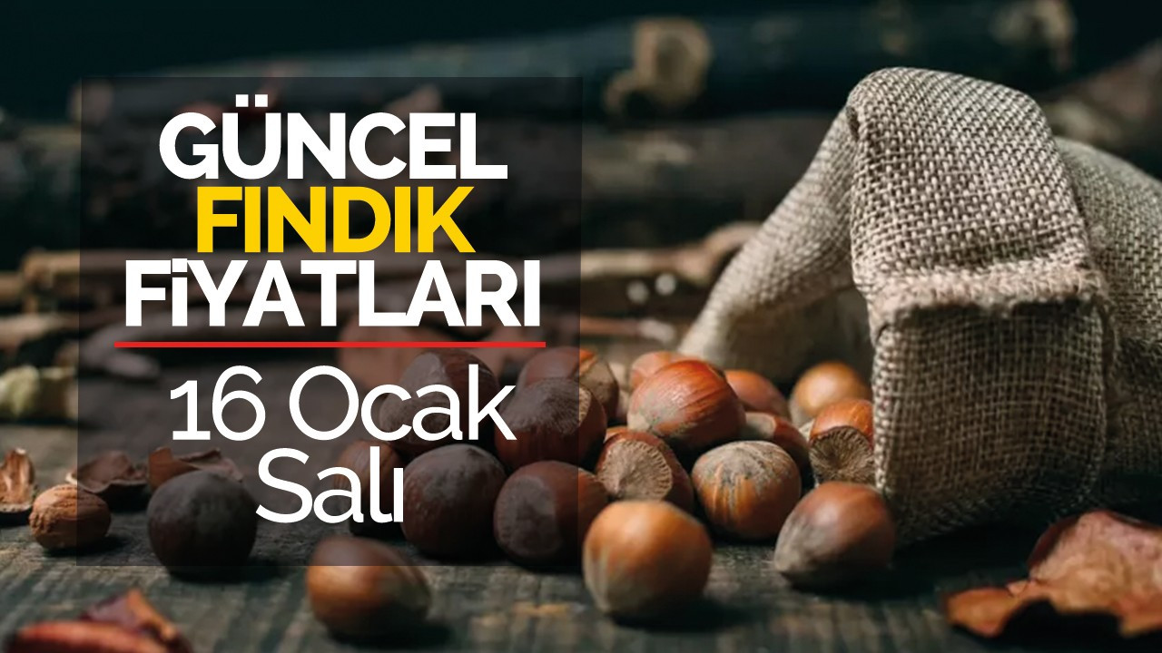 16 Ocak Salı Güncel Fındık Fiyatları