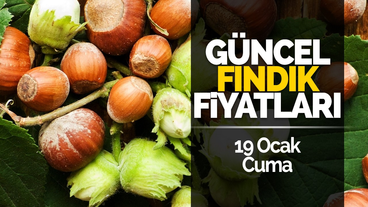 19 Ocak Cuma Güncel Fındık Fiyatları