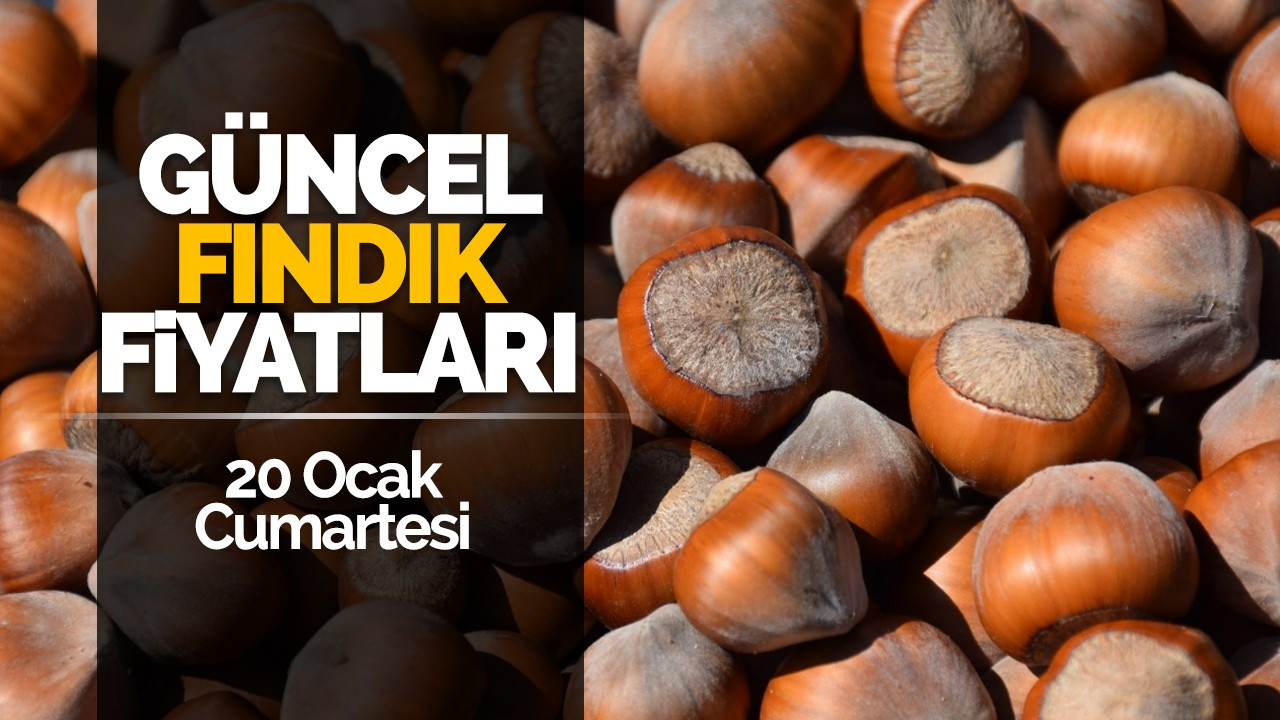 20 Ocak Cumartesi Güncel Fındık Fiyatları