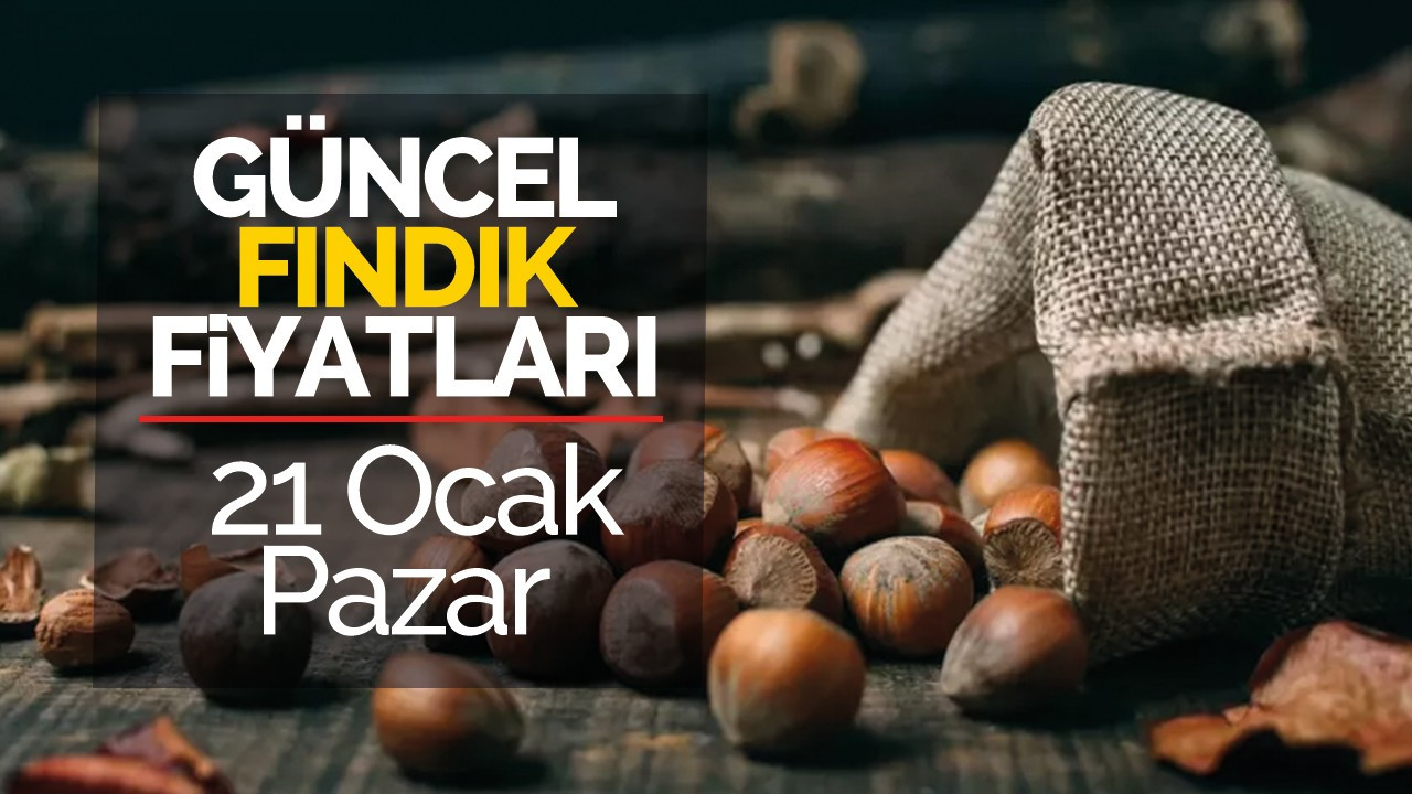 21 Ocak Pazar Güncel Fındık Fiyatları