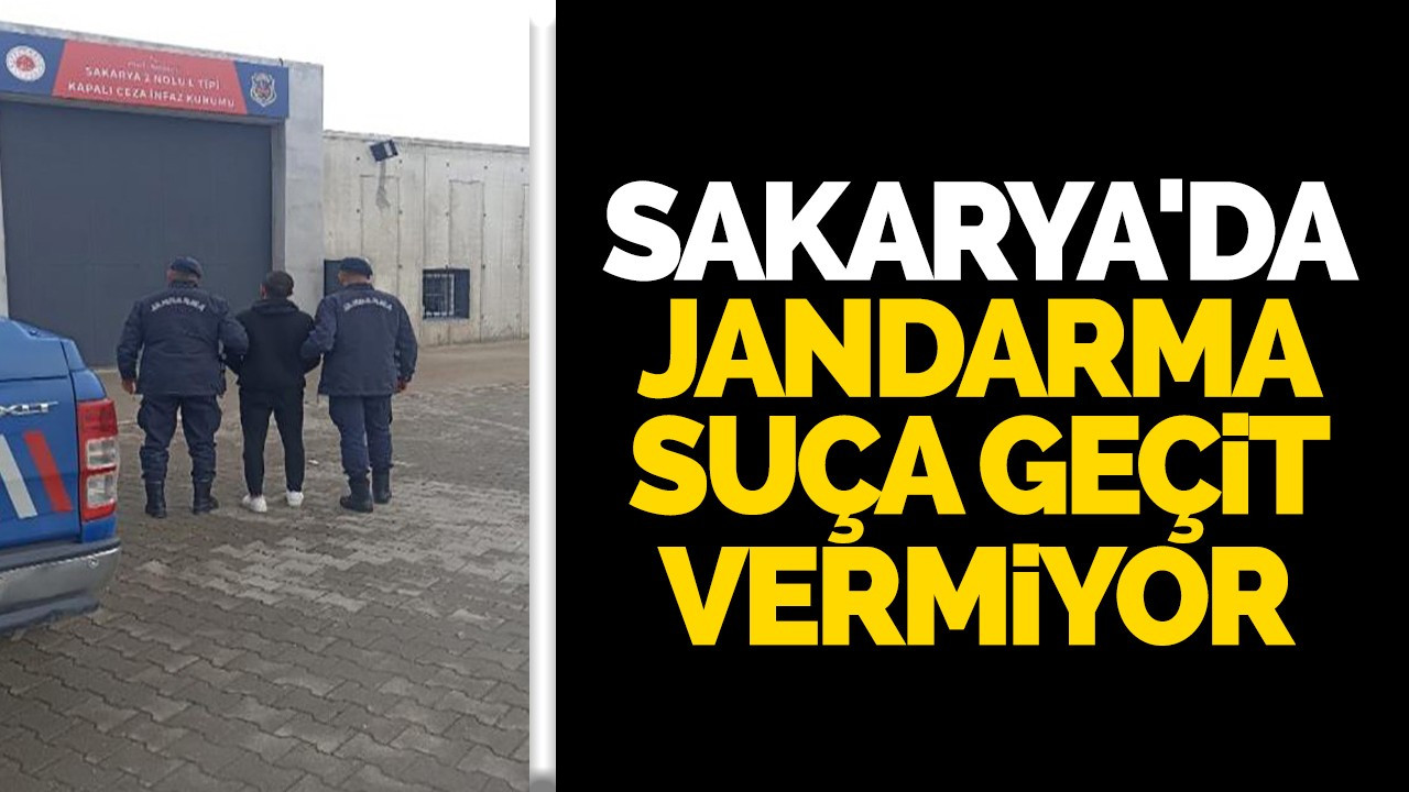 Sakarya'da jandarma suça geçit vermiyor