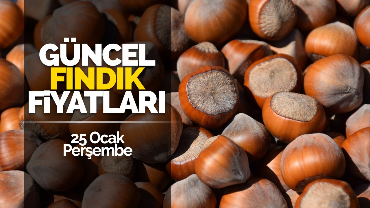 25 Ocak Perşembe Güncel Fındık Fiyatları