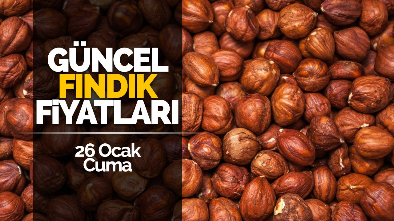 26 Ocak Cuma Güncel Fındık Fiyatları