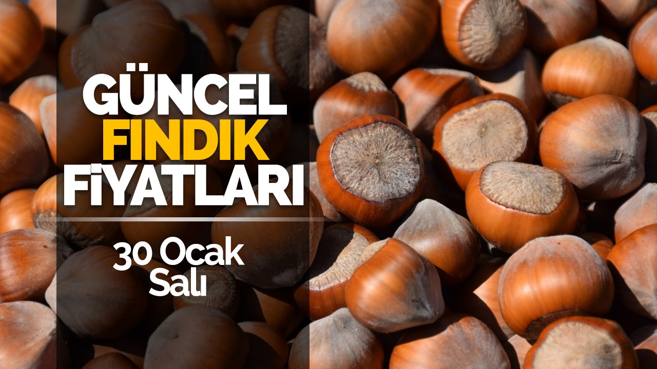 30 Ocak Salı Güncel Fındık Fiyatları