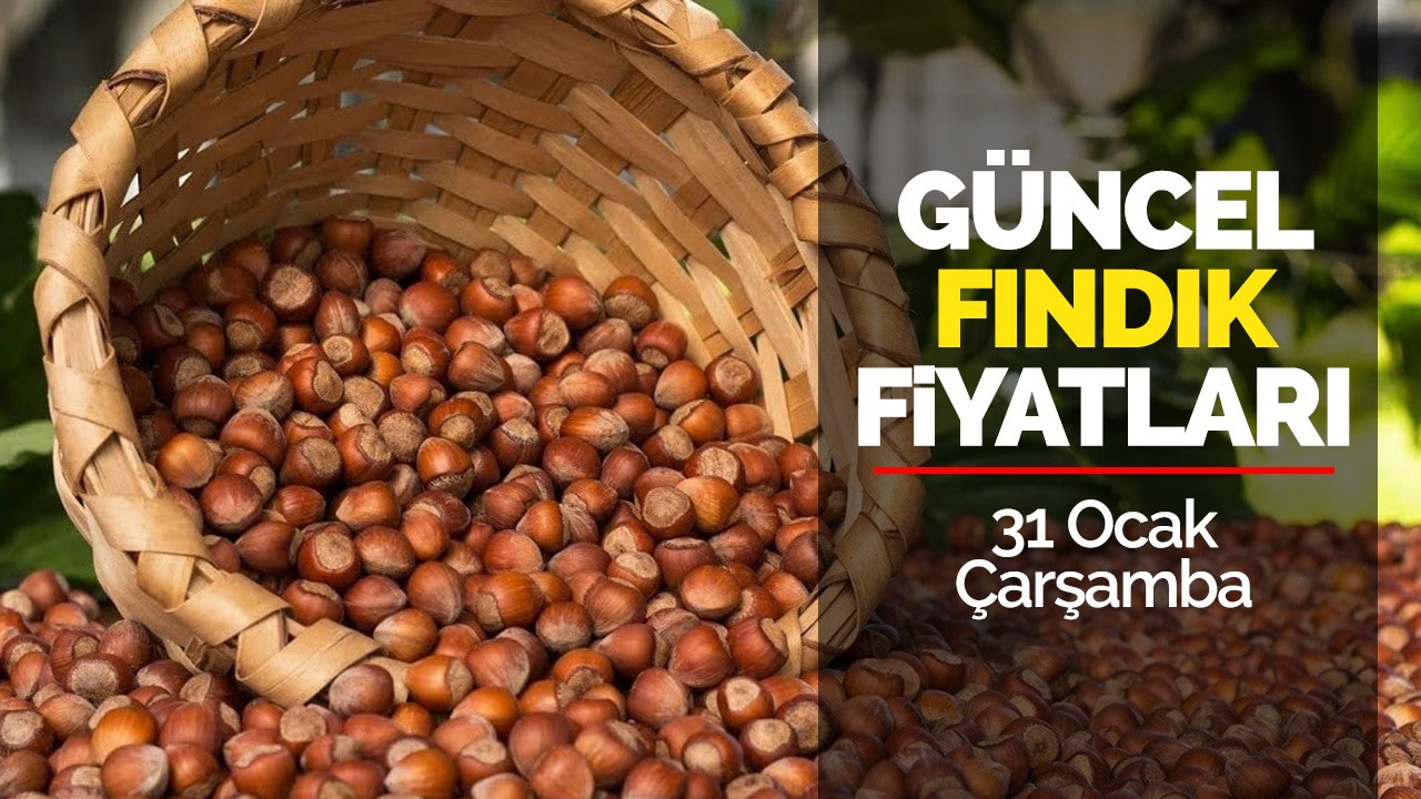 31 Ocak Çarşamba Güncel Fındık Fiyatları