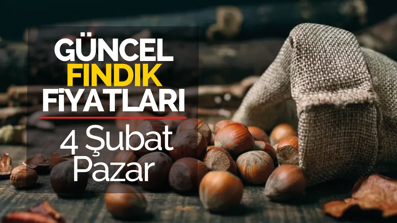 4 Şubat Pazar Güncel Fındık Fiyatları