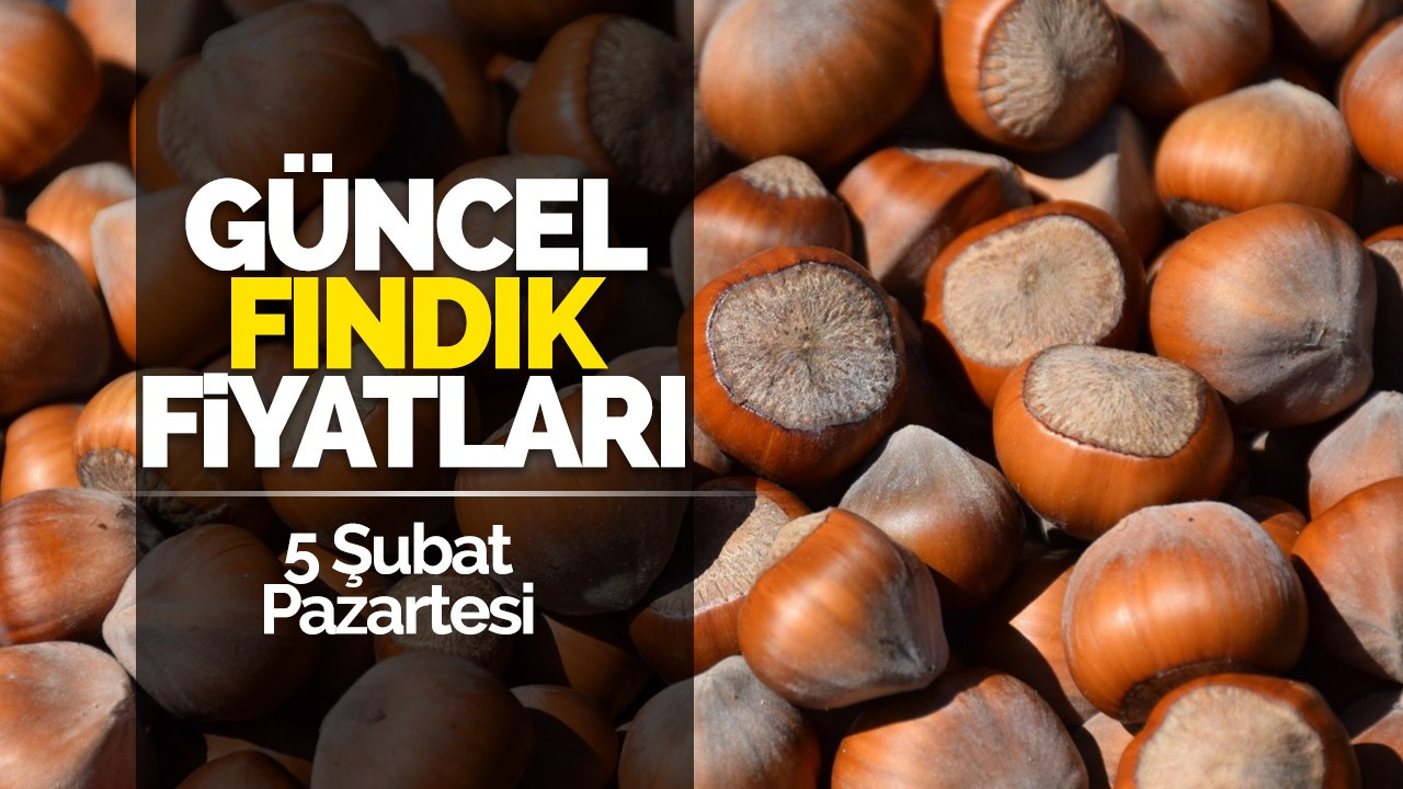 5 Şubat Pazartesi Güncel Fındık Fiyatları