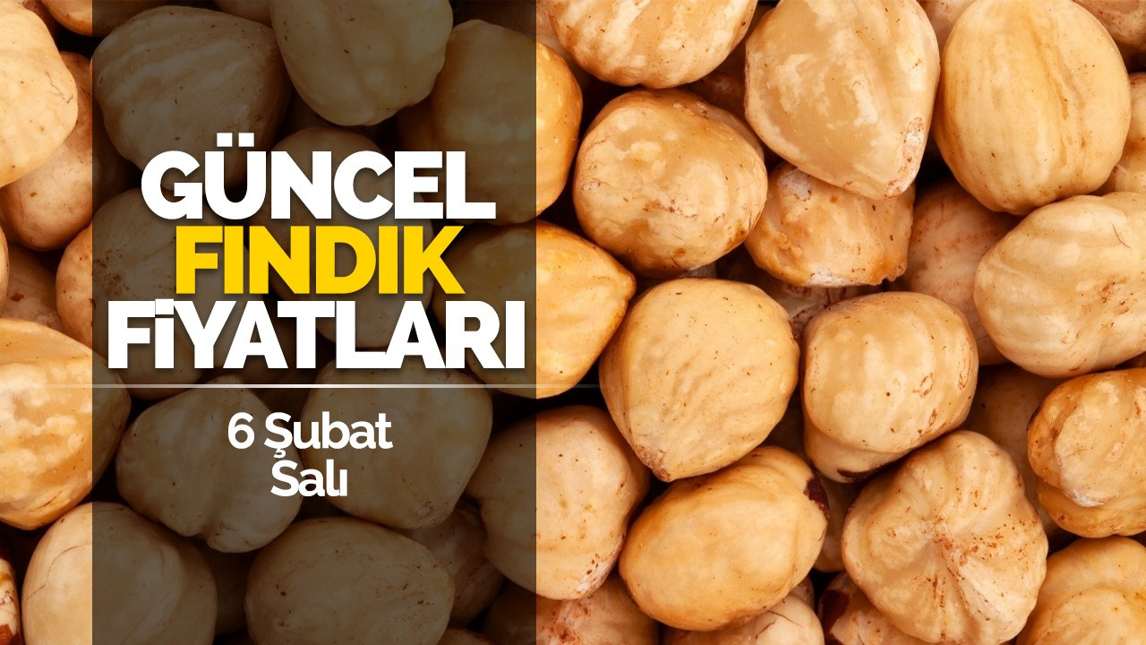 6 Şubat Salı Güncel Fındık Fiyatları