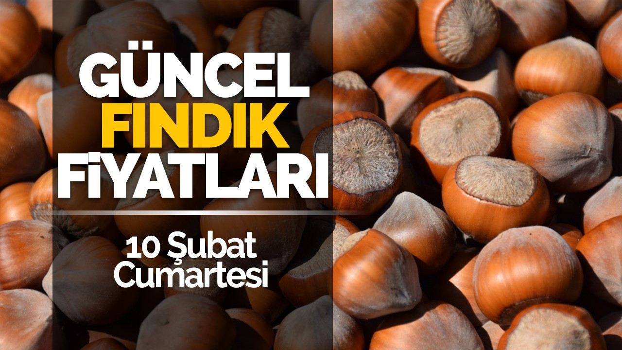 10 Şubat Cumartesi Güncel Fındık Fiyatları